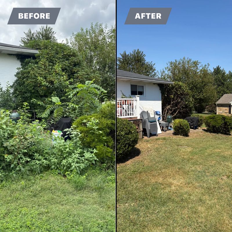 Landscaping