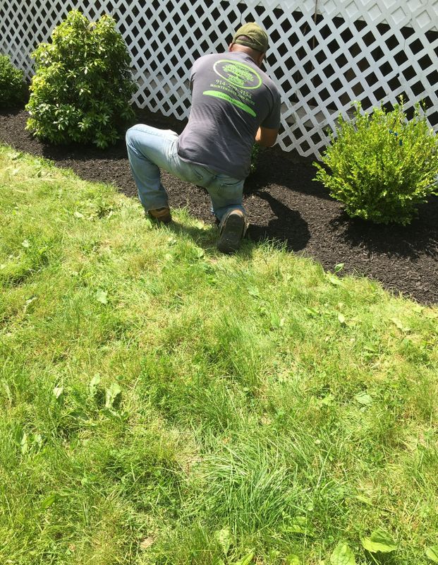 Landscaping