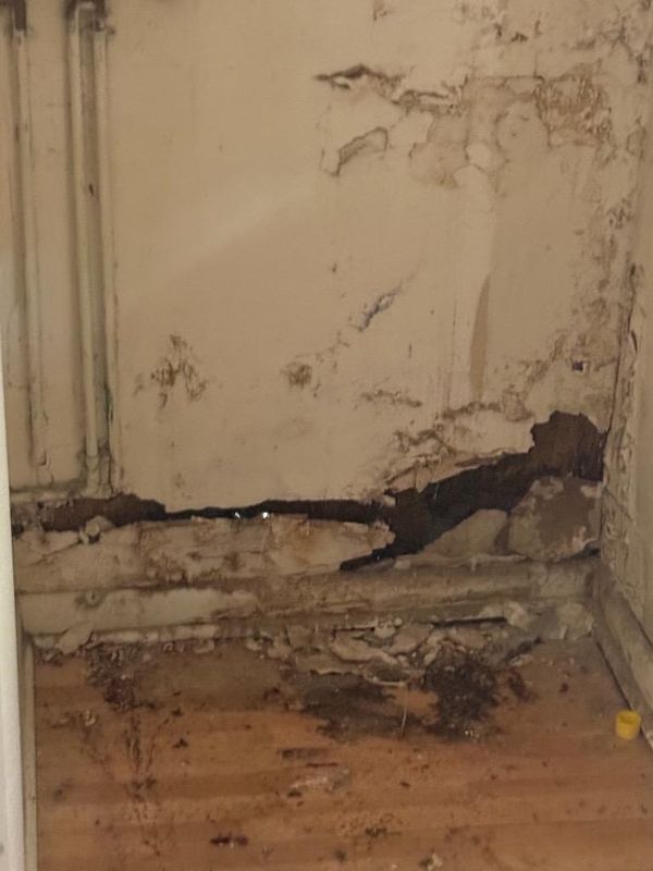 Restoring Resilience: Transformative Water Damage Repair by Titan Remediation Industries