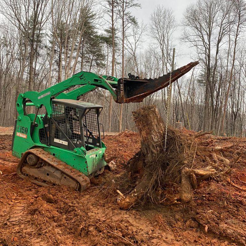 Land Clearing Photos