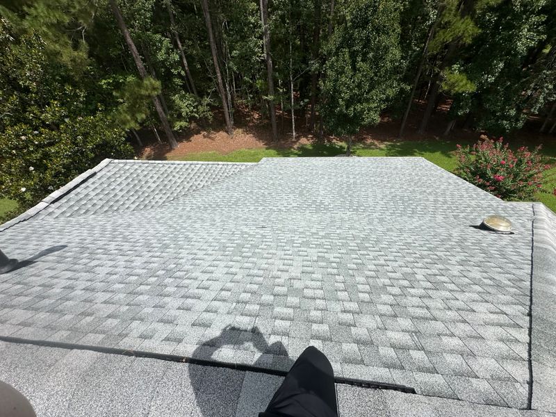 Softwash roof cleaning