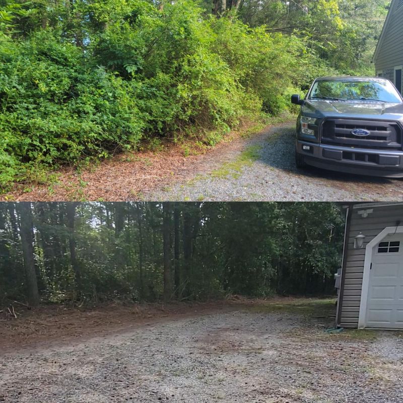 Before and After
