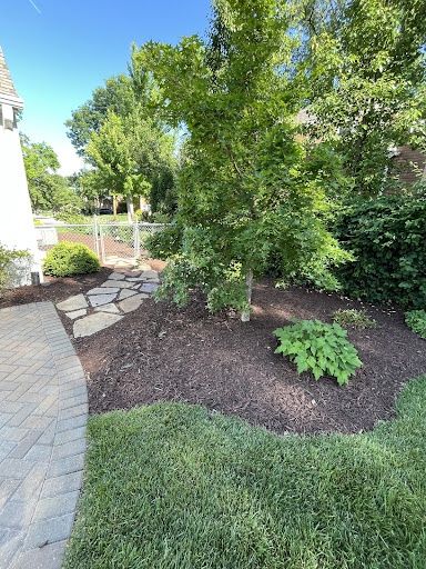 Landscape Bed Installation and Renovation