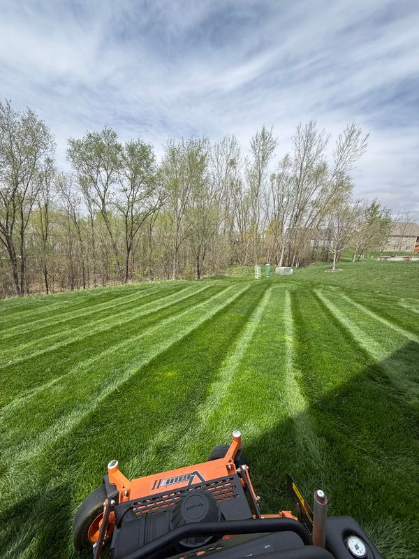 Lawn Care