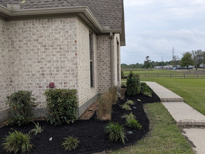 Lawn Maintenance
