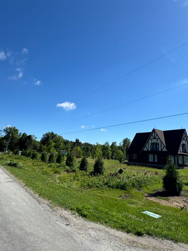 20 White Pines Planted to Restore Privacy in Lake Village