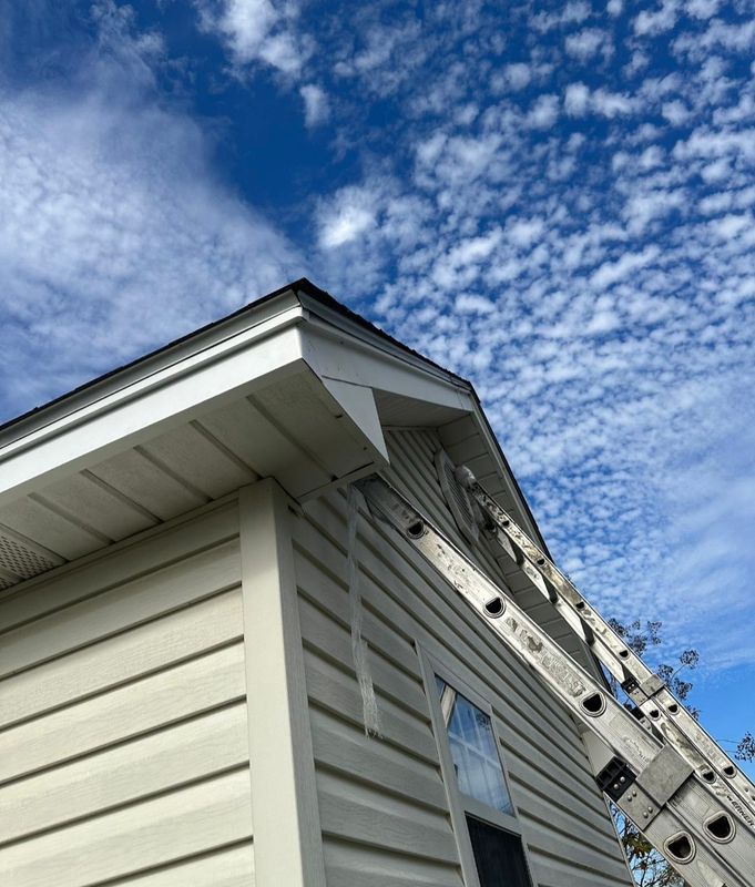Fascia Repair