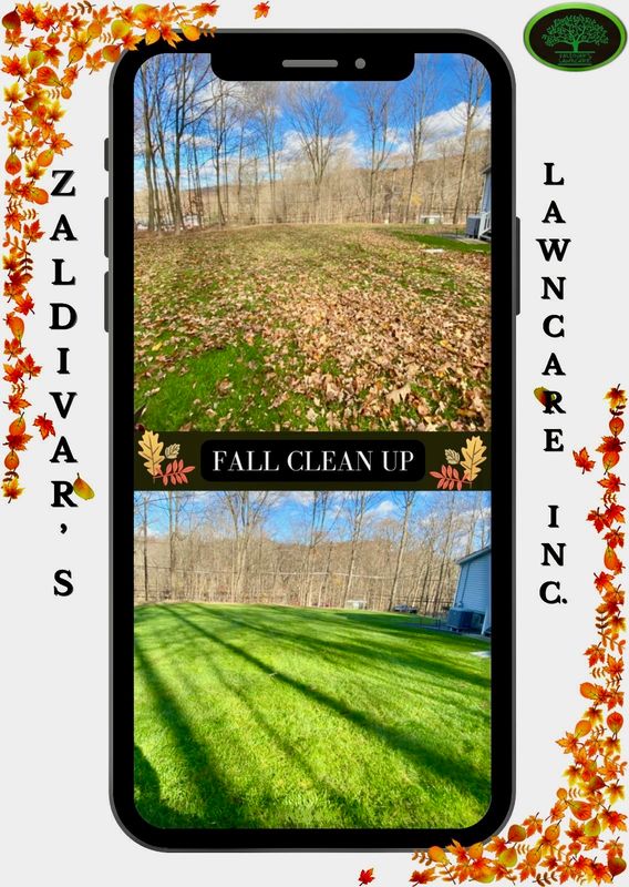 Fall Clean Up