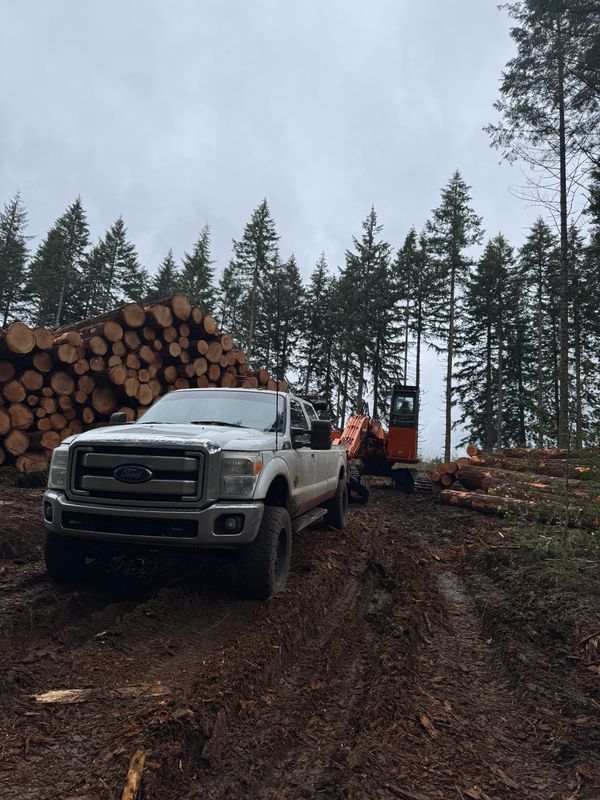 Land Clearing & Logging