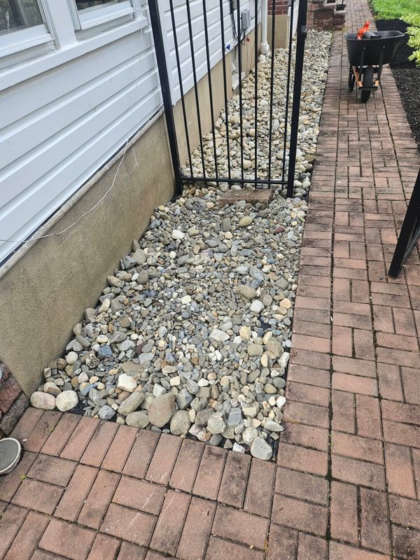Plant & Shrub Installations