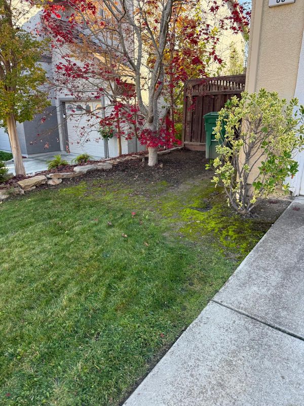 Landscaping