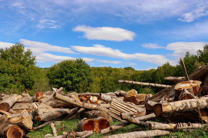 Lot Clearing