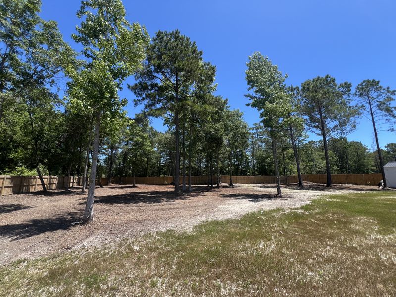 Forestry Mulching