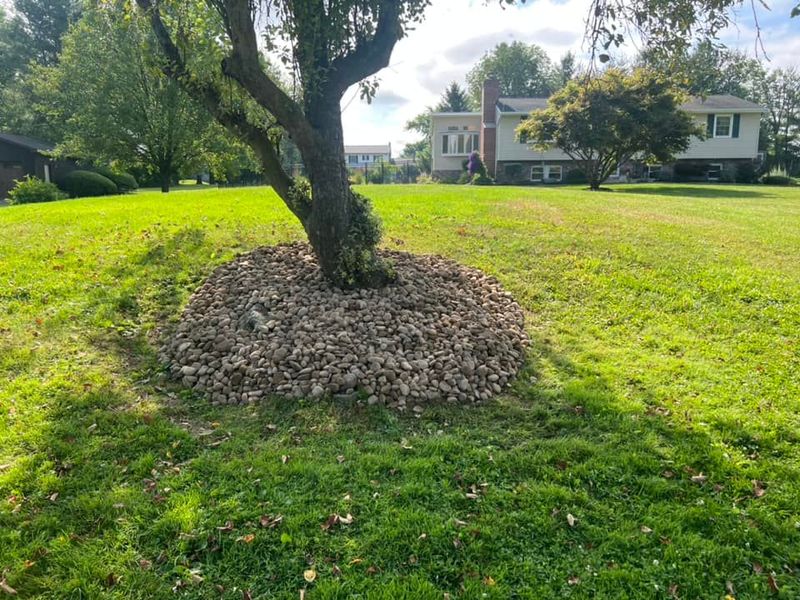 Lawn Care