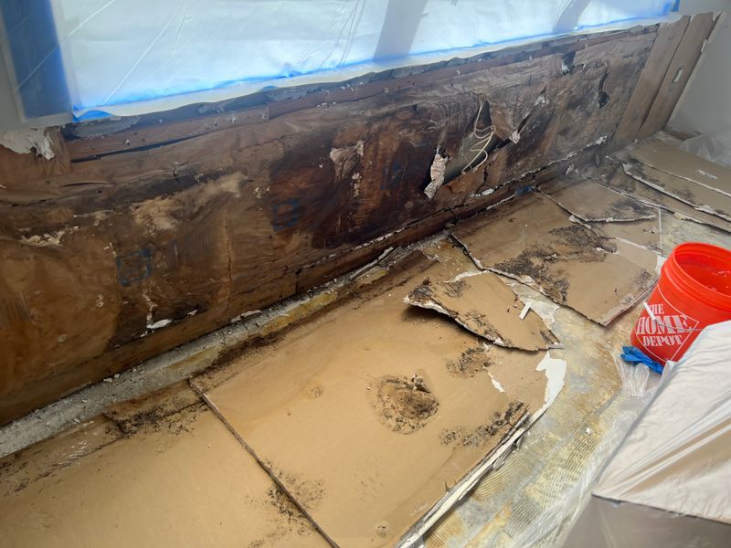 Mold Remediation