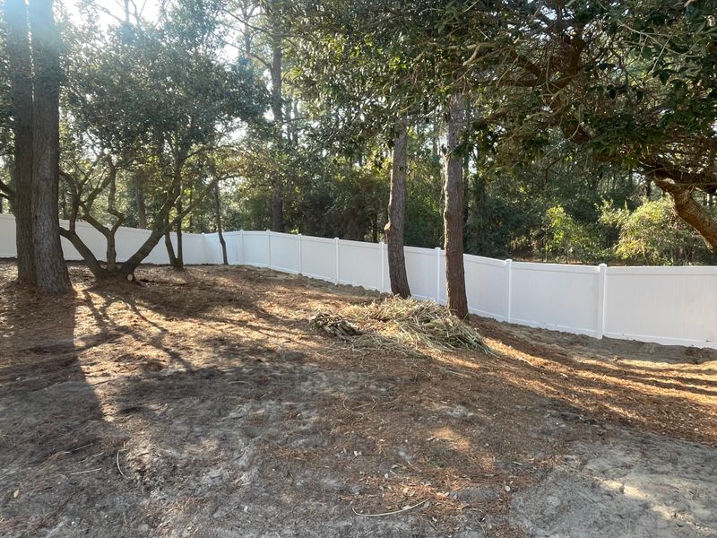 Photos