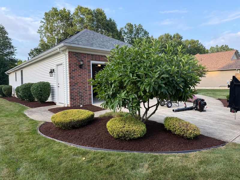 Shrub Trimming