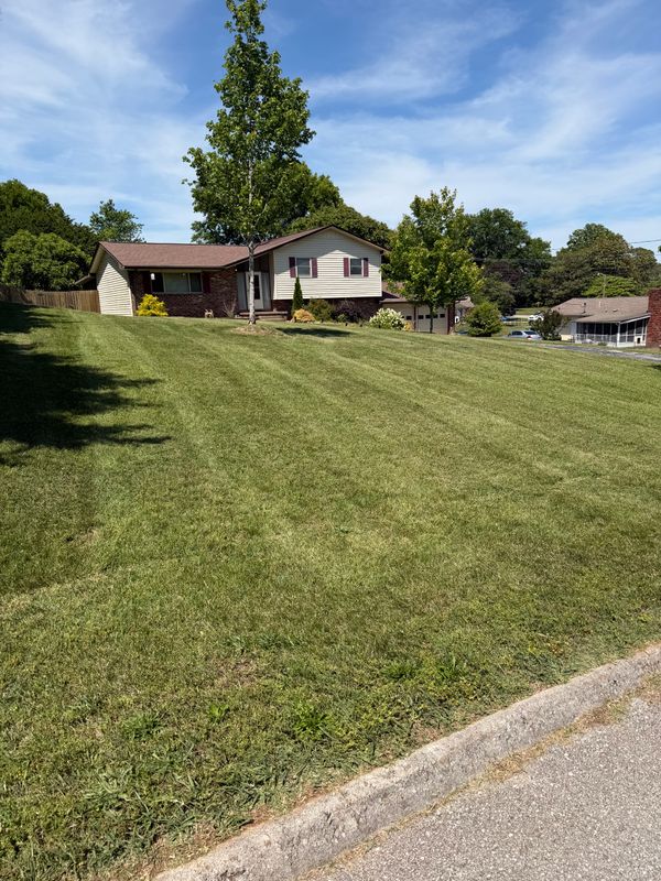 Lawn Maintenance