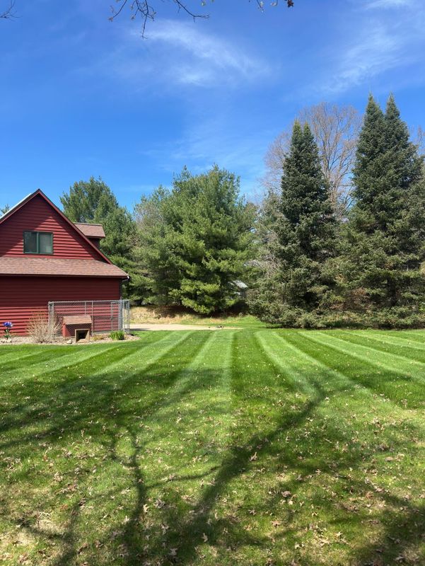 Lawn Maintenance