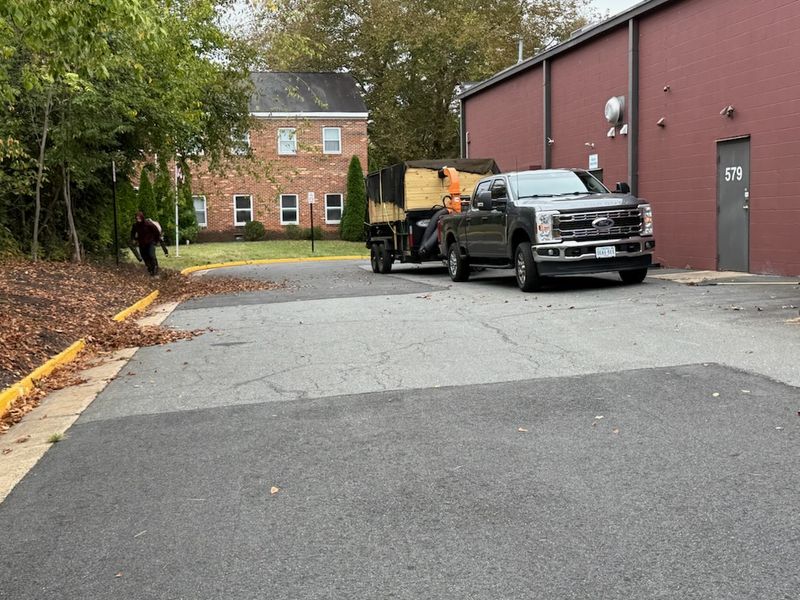 Leaf Removal