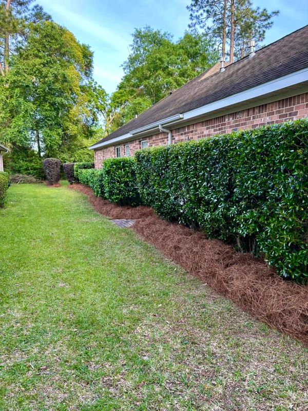 Landscape Bed Maintenance