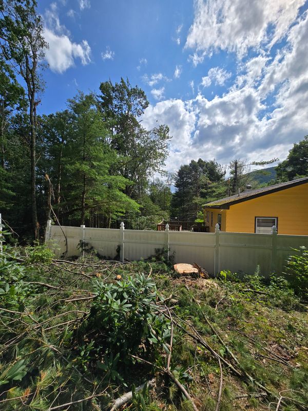 Land Clearing and Site Work