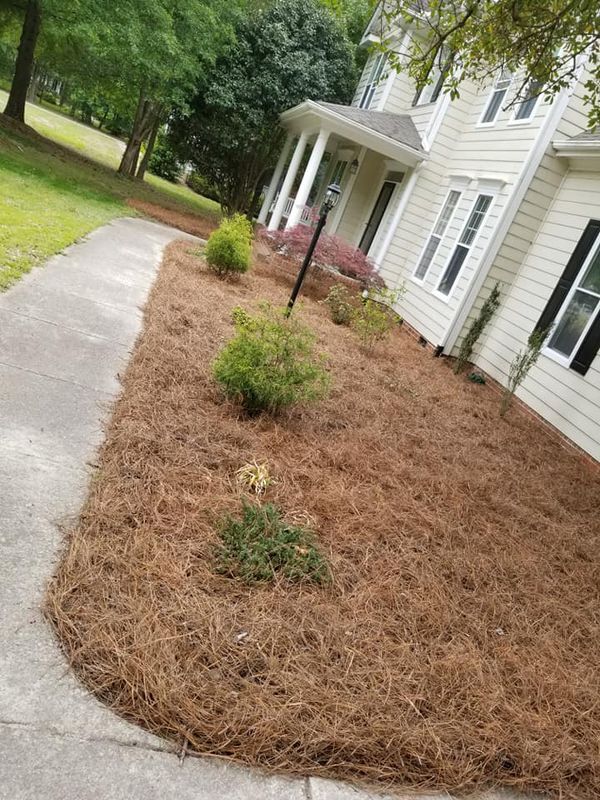 Landscaping