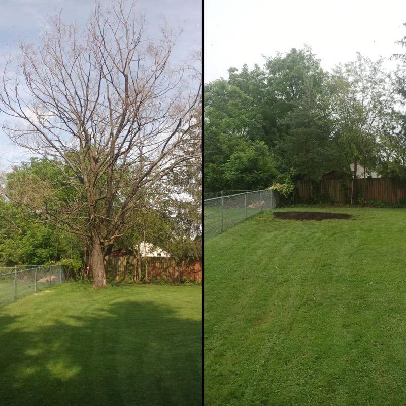 Full Service Property Maintenance