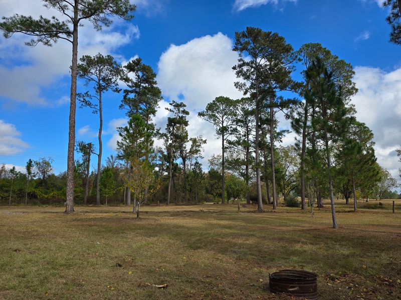 Land Clearing