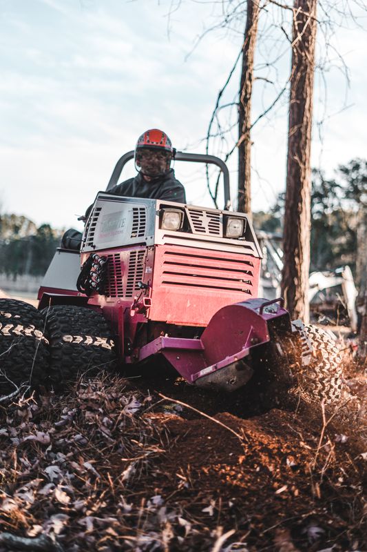Stump Grinding & Removal