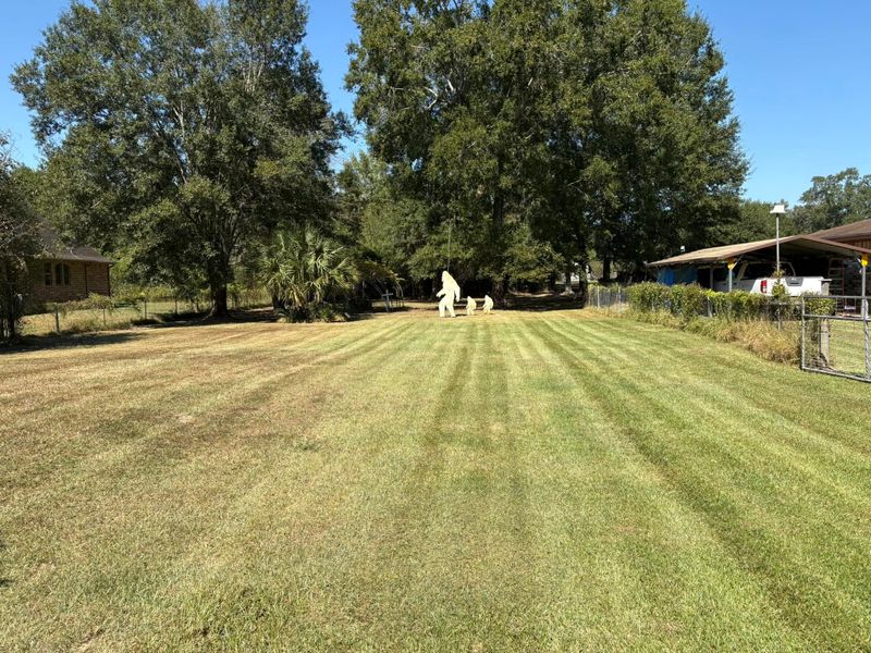Lawn Maintenance