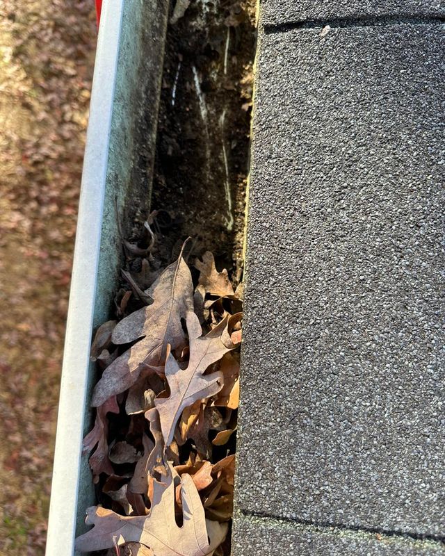 Pressure Washing