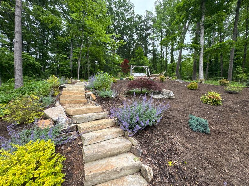 Lawn Care Services