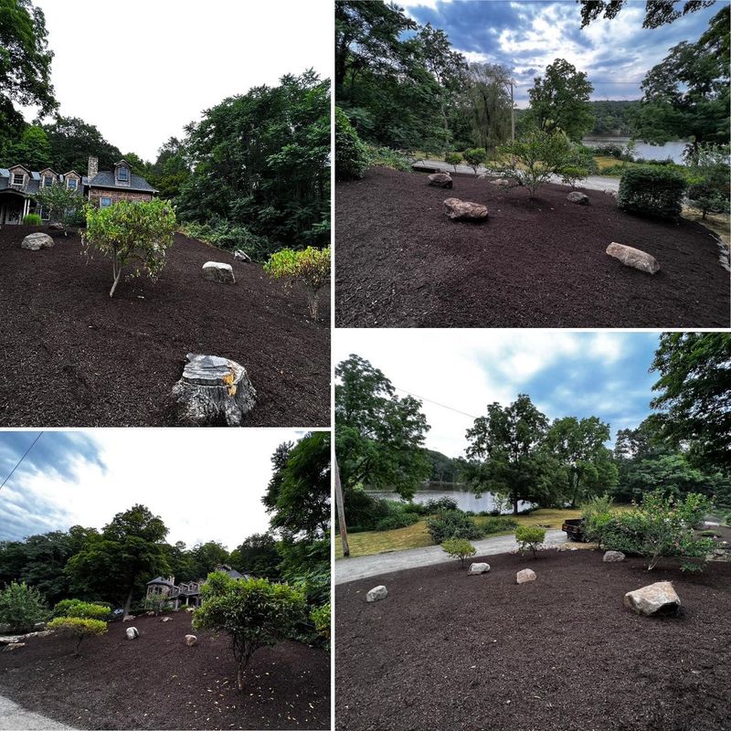 Mulch Installation