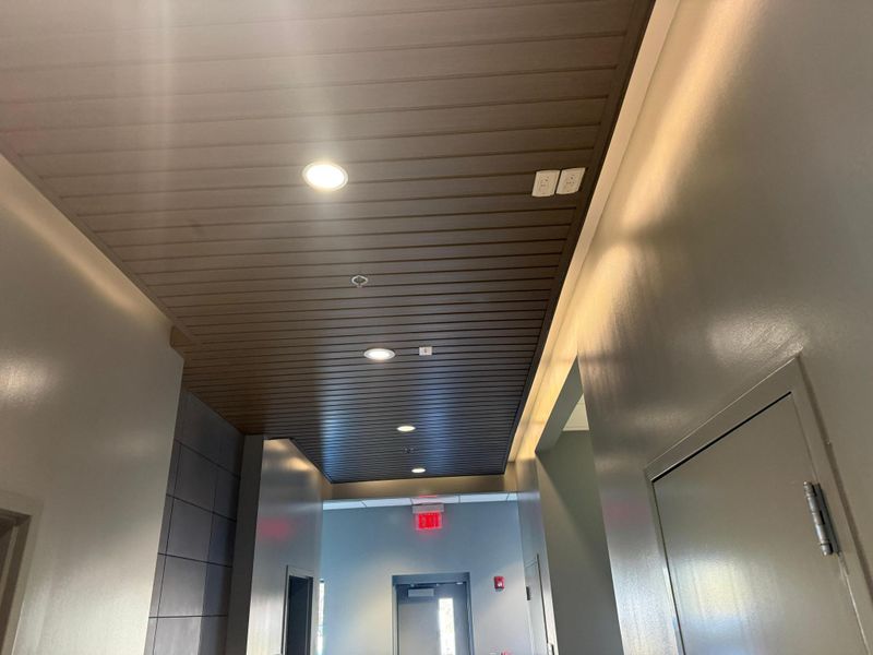 Custom Lighting