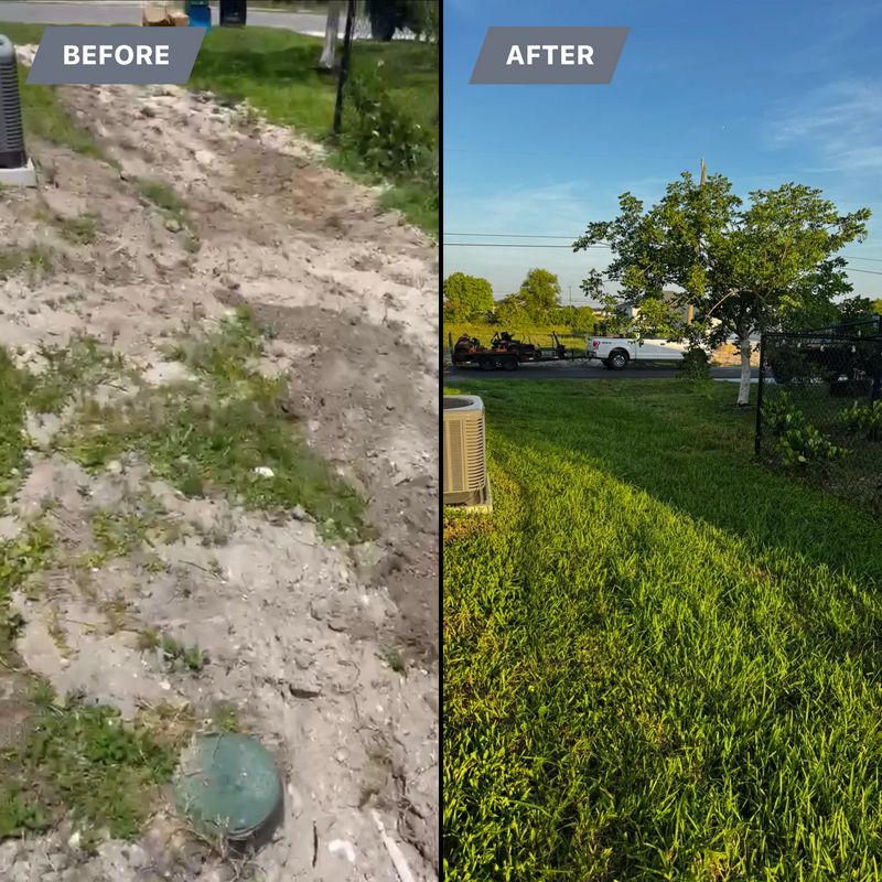 Sod installation