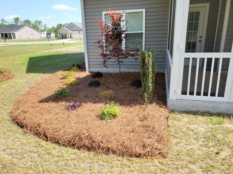 Landscaping