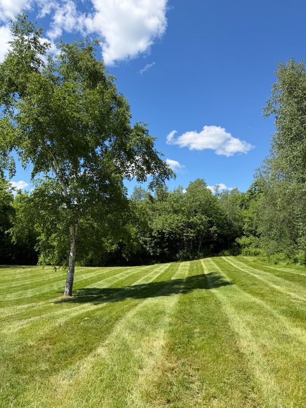 Lawn Maintenance