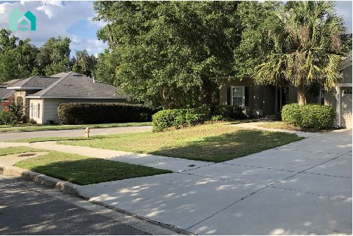 Lawn and landscape
