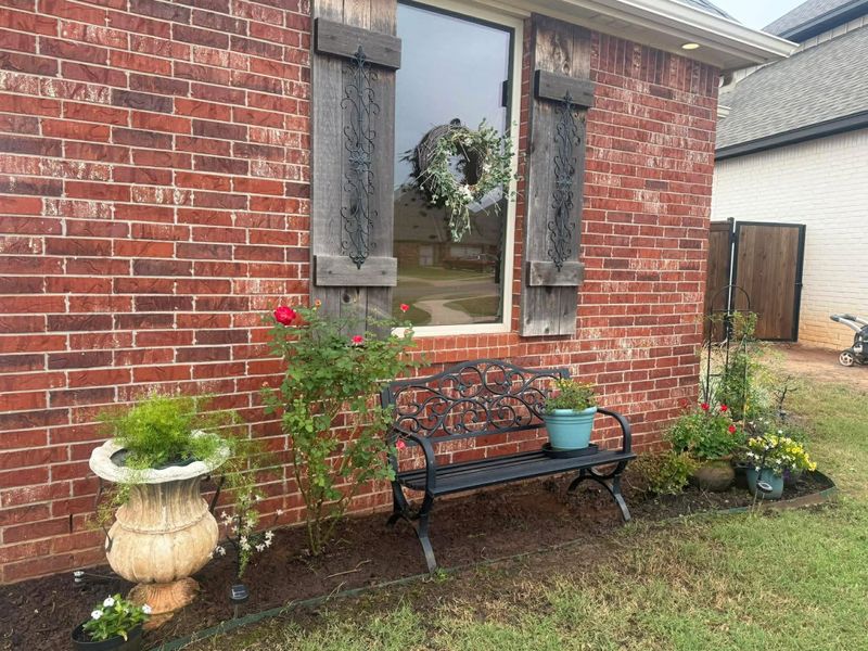 Tree & Shrub Care