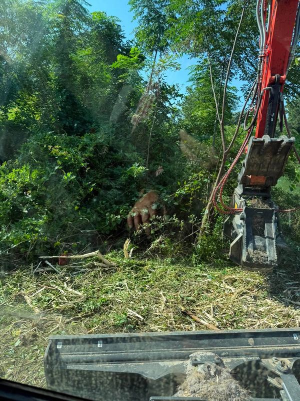 Land Clearing