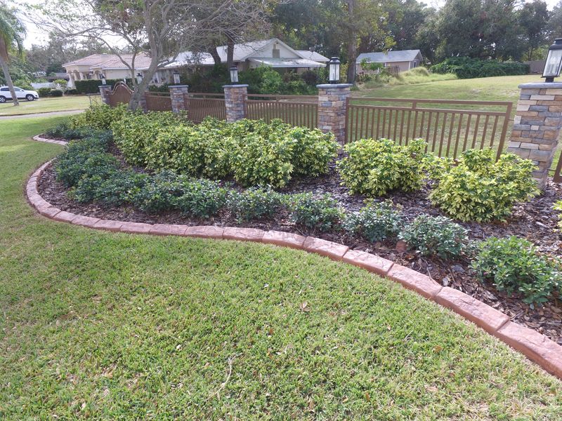 Custom Curbing gallery