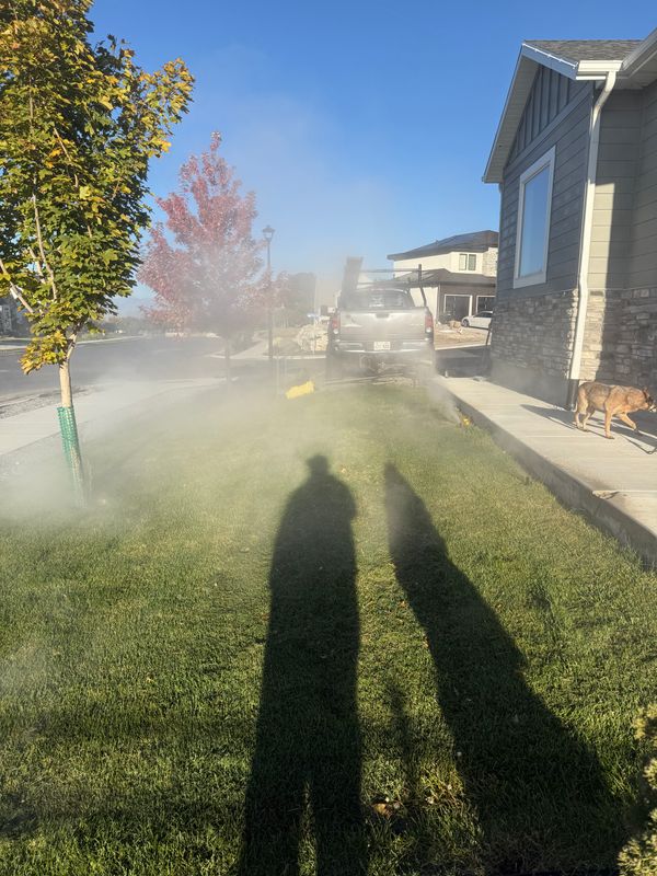 Sprinkler Blowout