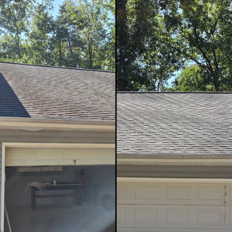 Roof Cleaning