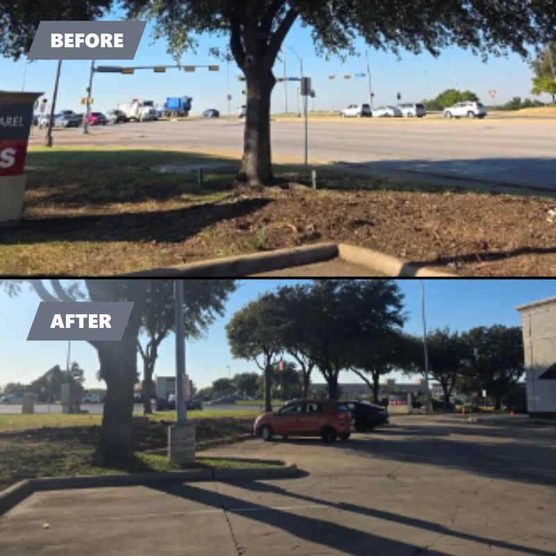 Tree Removal