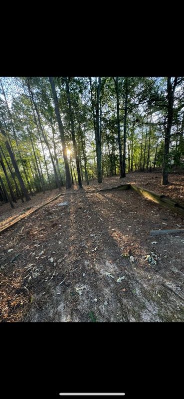 Land Clearing