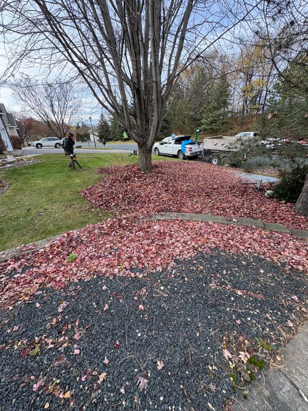Seasonal Clean-Up Services