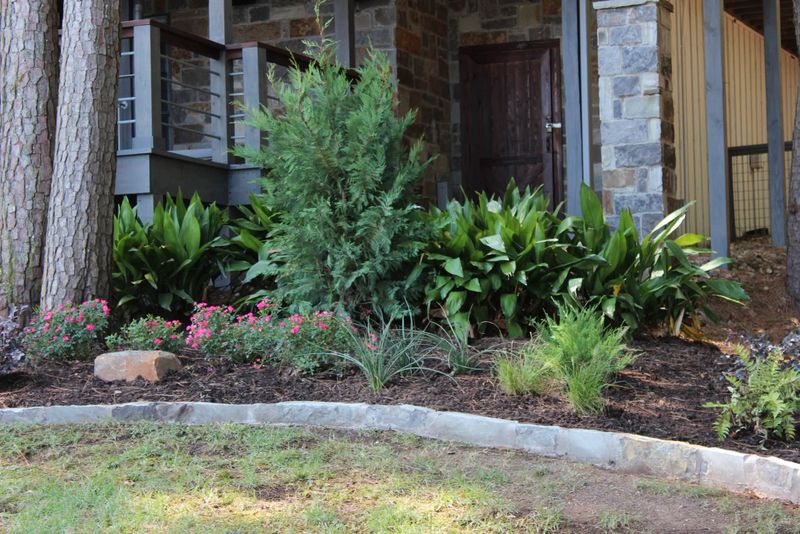 Landscape Design & Installation