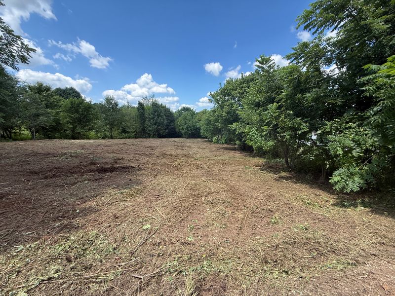 Land Clearing