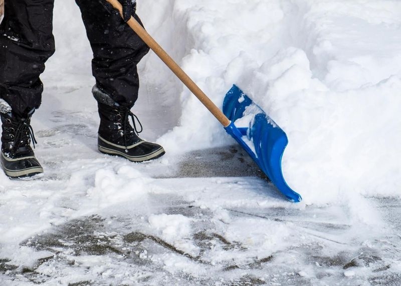 Cleaning Services